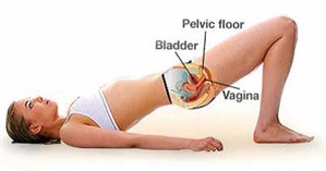 Strengthen pelvic floor muscles female outlet