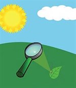 Magnifying Glass Cartoon